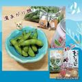 Newチヨコっと♪'s cooksnap of when they made シンプルに♪塩味が美味しくきいた枝豆.