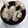 クック3N0VKO☆'s cooksnap of when they made 鶏手羽元のさっぱり煮♪.