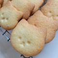 mamimami16's cooksnap of when they made 材料５つで♪簡単ハトサブレ味クッキー.