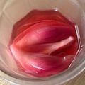 Ｓａｎａ鈴's cooksnap of when they made 茗荷の甘酢漬け　簡単.