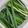 クックM96XDX☆'s cooksnap of when they made ニラの保存方法♪.