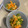 料理初心者imsk's cooksnap of when they made ピーマンと人参の卵炒め.