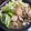 トコタン's cooksnap of when they made あんこう鍋☆.
