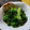 なにわのにゃおみ's cooksnap of when they made 捨てないで！硬いレタスの葉で簡単ナムル.