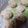 クック2S2FX8☆'s cooksnap of when they made レンジで簡単！ふわふわシュウマイ.