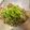 にこちゃんち's cooksnap of when they made 鯖缶で薬味たっぷりで食べるおつまみ♪.