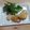 クック3RZM0G☆'s cooksnap of when they made タラのパルメザンチーズムニエル.