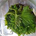 ゆうりママ's cooksnap of when they made 大葉にんにく醤油.