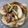 Rick_t's cooksnap of when they made 豚肉とカブ炒め煮.