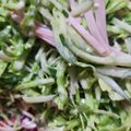 あいたんmama♡'s cooksnap of when they made 胡瓜とキャベツのシャキシャキサラダ！.