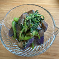 エビビンバ's cooksnap of when they made ゆで茄子とほうれん草の🍆ごま味噌和え♪.