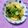 ふたごゆき's cooksnap of when they made 朝食♪じゃが芋とワカメと油揚げのお味噌汁.