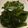 ﾌﾞﾚﾝﾀﾞ's cooksnap of when they made お刺身ワカメ大量消費！.