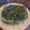 らむちゃんず☆'s cooksnap of when they made 大葉みそ ～ 大葉味噌で大量消費 ～.