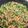 ジャスマミン's cooksnap of when they made 豚肉ピーマンタケノコの炒め★青椒肉絲風★.