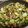 クックMEC2V8☆'s cooksnap of when they made 牛肉トマトズッキーニ炒め！.