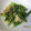 良庵★Ryoan's cooksnap of when they made アスパラガスと海鮮のバター炒め.