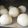 ☆わかもぐ's cooksnap of when they made 基本の丸パン.