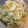 ジプシーラムズ's cooksnap of when they made おうちで中華・辣白菜(ラーパイツァイ).