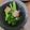 そらてんママ's cooksnap of when they made ベビーホタテと菜の花の照り焼き.