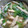 マキマキ913's cooksnap of when they made 簡単！白菜と油揚げの美味しい味噌汁.