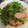 ゆるмαмα's cooksnap of when they made 菜の花とウインナーのマヨ醤油炒め.