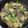 まん丸みかリン's cooksnap of when they made とろりん豆腐と青梗菜の中華炒め.