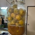 はるみんたった's cooksnap of when they made 2021梅ジュース.