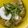 Cony◎'s cooksnap of when they made 簡単ランチ♡激うま！アボカドｄｅユッケ丼.