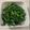 クック81NK9U☆'s cooksnap of when they made 春菊と塩昆布のナムル.