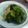 恋芽♪'s cooksnap of when they made 【青い外葉】レタスのお浸し【大量消費】.