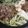 MUJIRUSI☆'s cooksnap of when they made お豆腐で満足感♪「すき焼き風 肉豆腐」.