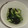 きらり流れ星's cooksnap of when they made きゅうりとわかめの酢の物.