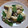 ポニーリボン's cooksnap of when they made 鶏むね肉とピーマンのマヨカレー炒め♪.