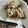 コボスケ's cooksnap of when they made 常備菜☆アレンジいろいろきのこの塩麹蒸し.