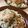 あい♪らんど's cooksnap of when they made 簡単なのに激ウマ！冷やしきつねうどん♡*.