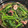 saki1010's cooksnap of when they made いかとほうれん草のバター醤油炒め.