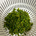 SKY☆LOV's cooksnap of when they made しその実のしょうゆ漬け.