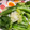 ﾌﾞﾚﾝﾀﾞ's cooksnap of when they made 簡単きれいなゆで卵の切り方.