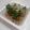 ☆雪矢☆'s cooksnap of when they made 納豆にﾌﾞﾛｯｺﾘｰｽﾌﾟﾗｳﾄ、朝食に.