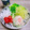 のんべぇヒロ's cooksnap of when they made カイワレの種☆元気に振って☆100%落る.