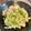 azbjbn's cooksnap of when they made 春キャベツの塩麹炒め.