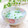 Satoco❋'s cooksnap of when they made 簡単和食！基本のおかゆ＊七草粥の作り方.