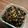 よよっち♪'s cooksnap of when they made ﾌﾗｲﾊﾟﾝで簡単♪ひじき煮.