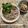 nok♡'s cooksnap of when they made 魅惑のベトナム料理★簡単本格★フォー.