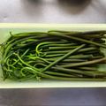 ちひろの庭's cooksnap of when they made 重曹deわらびのあく抜き/保存方法.