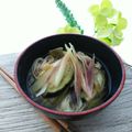 mamaRD's cooksnap of when they made ＊茄子とみょうがの温麺（素麺）汁＊.