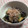 リープリヒ's cooksnap of when they made 白だしで簡単♪なすの焼きびたし.