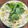 bintangさん's cooksnap of when they made マヨ不使用♪お豆腐クリームでコールスロー.