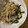 kuuuma☆'s cooksnap of when they made 【作り置きおかず】もやしと小松菜の炒め煮.